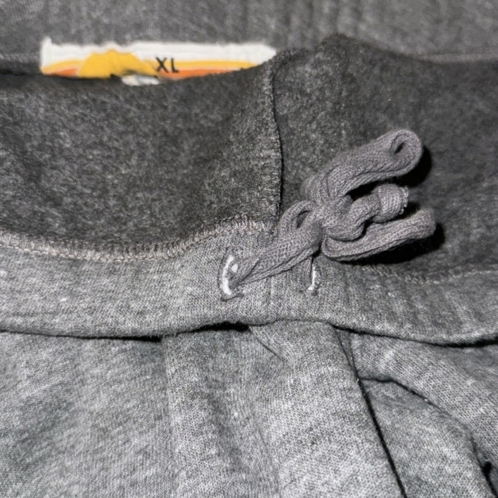 Avaitor Nation Gray Sweatpants with Neon Stripes - Picture 5 of 7